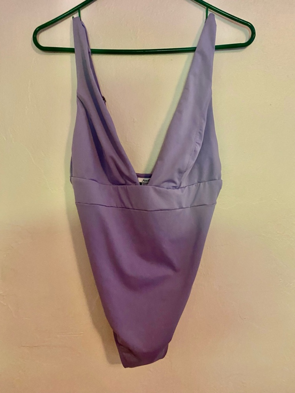 Andie Lilac V-Neck One-Piece Swimsuit